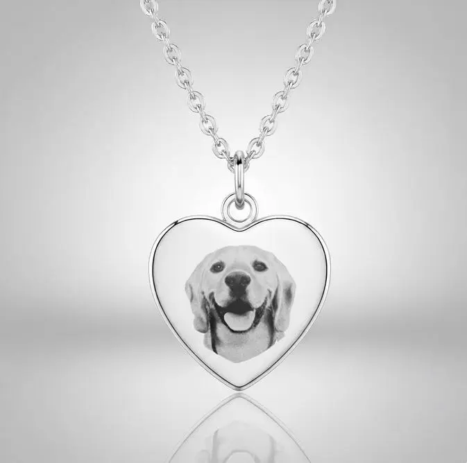 [X-CAAX-043PT-01] Cadena con Dije Urna Corazon pulido espejo ac. Inox plateado mediano 25mm