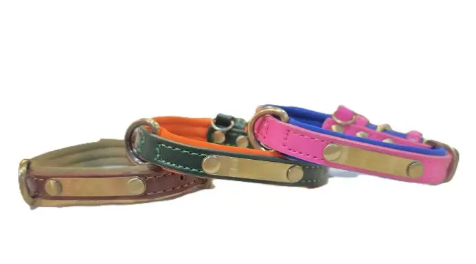 Correa collar p/mascota de cuerina lujo1 c/placa remaches dorada mate Personalizada